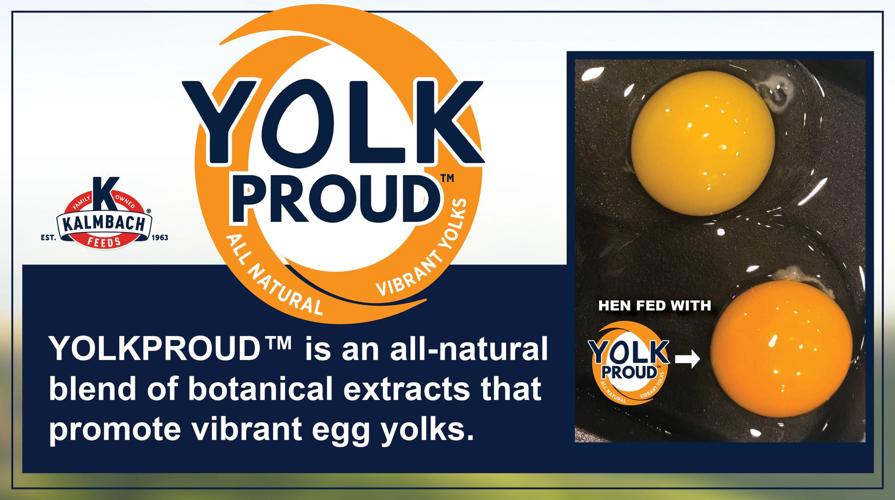 Kalmbach Feeds All Natural Poultry Block – Chickens.com